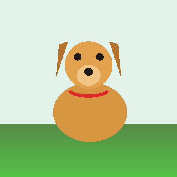 Pet